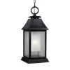 Shepherd 1-Light Dark Weathered Zinc Outdoor 17.25 in. Pendant by Feiss