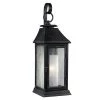 Shepherd 1-Light Dark Weathered Zinc Outdoor 16.5 in. Wall Lantern Sconce by Feiss