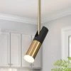 Lulier 5-Watt Integrated LED Hanging Pendant Light, Modern Matte Black and Brass Plated Light Fixture by Zevni