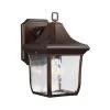 Oakmont 1-Light Patina Bronze Outdoor 10.75 in. Wall Lantern Sconce by Feiss