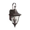 Oakmont 2-Light Patina Bronze Outdoor 26.5 in. Wall Lantern Sconce by Feiss