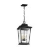 Warren Medium 4-Light Textured Black Hanging Pendant with Clear Glass by Feiss