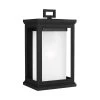 Roscoe 1-Light Textured Black Outdoor 13.5 in. Wall Lantern Sconce by Feiss